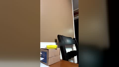 33adidas online show from 23, 12, 2025