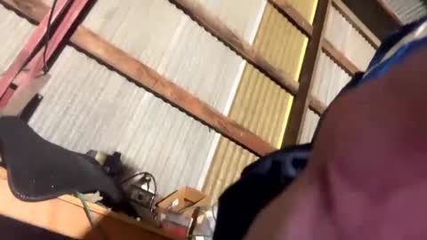 Snapshot of 420danny chatting on 24, 2, 2025 420danny online show from 24, 2, 2025