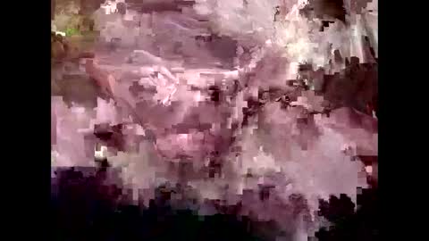 Kyle Brandon online show from 30, 1, 2025