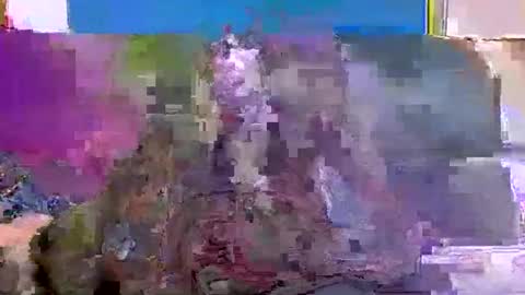 4nuf online show from 15, 1, 2025