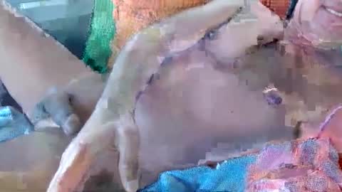 Snapshot of 56funleo chatting on 17, 11, 2025 Daddy online show from 17, 11, 2025