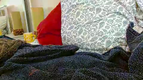 Daddy online show from 31, 1, 2026