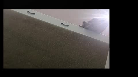 Snapshot of 5minuescum chatting on 2, 11, 2025 RecentBison online show from 2, 11, 2025