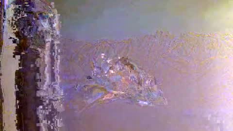 Zeus online show from 1, 11, 2025