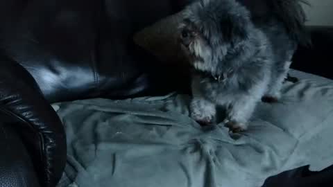 Snapshot of 66bear chatting on 22, 12, 2024 66bear online show from 22, 12, 2024