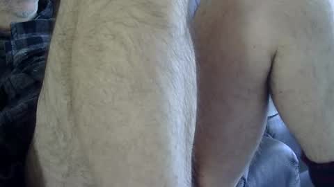 Snapshot of 66bear chatting on 8, 2, 2025 66bear online show from 8, 2, 2025