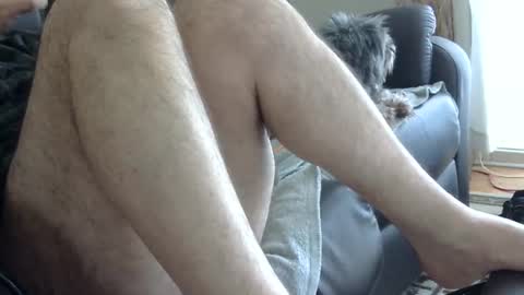 Snapshot of 66bear chatting on 1, 3, 2025 66bear online show from 1, 3, 2025