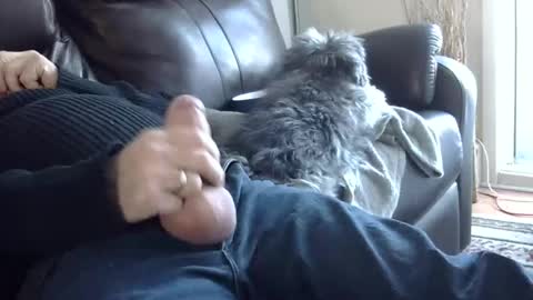 Snapshot of 66bear chatting on 2, 3, 2025 66bear online show from 2, 3, 2025