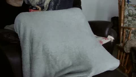 Snapshot of 66bear chatting on 2, 11, 2025 66bear online show from 2, 11, 2025