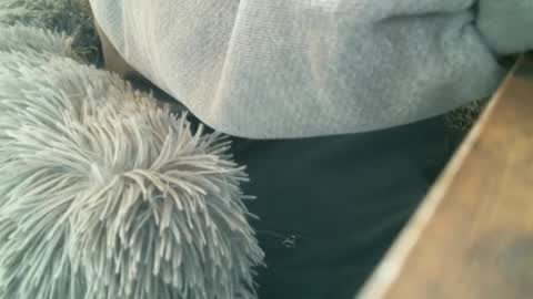 Snapshot of 6969jm chatting on 1, 12, 2024 6969jm online show from 1, 12, 2024