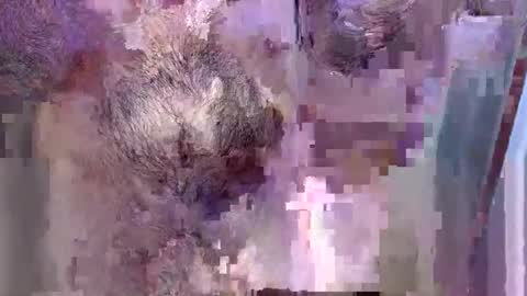 Snapshot of 69bidam chatting on 14, 12, 2025 69bidam online show from 14, 12, 2025