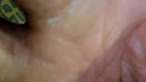 Snapshot of 69dick_fitzwell69 chatting on 7, 12, 2024 HUGH G RECTION online show from 7, 12, 2024