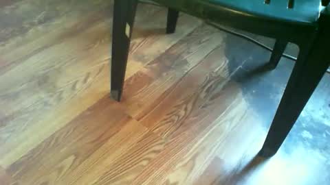 69forever453443 online show from 19, 11, 2025