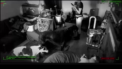 Snapshot of 6vyr_vlt9 chatting on 17, 12, 2025 Voyeur Vault online show from 17, 12, 2025