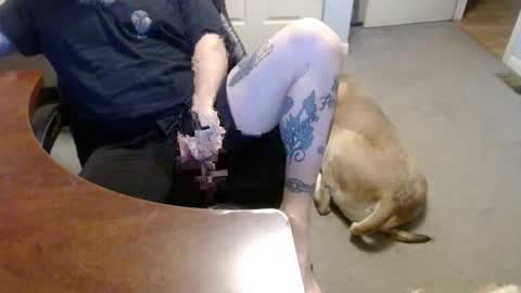 MASTIFF online show from 16, 1, 2026