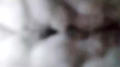 88piterr88 online show from 17, 2, 2025