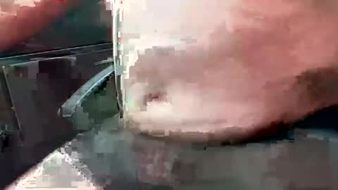 99zeus9 online show from 25, 10, 2025