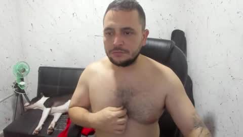     ----       online show from 11, 3, 2026