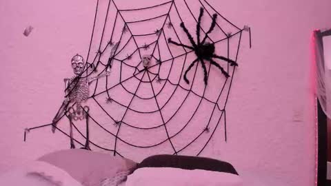 Snapshot of _alexandersawyer_ chatting on 22, 10, 2025 Alexander online show from 22, 10, 2025