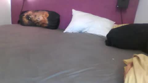 Snapshot of _bertl_ chatting on 25, 10, 2025 _bertl_ online show from 25, 10, 2025