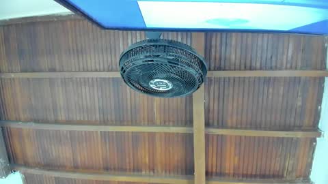 Candy online show from 21, 11, 2025