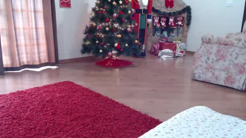 Snapshot of _candygirl20 chatting on 15, 1, 2025 candygirl online show from 15, 1, 2025