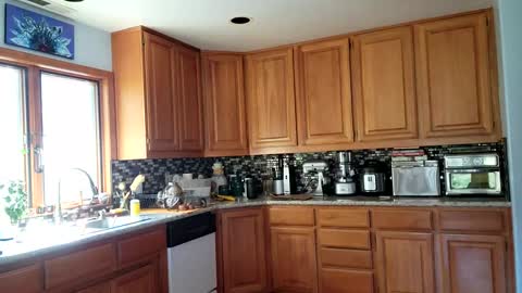 Snapshot of _frankie_rivers chatting on 6, 3, 2025 Frankie Rivers allmylinks online show from 6, 3, 2025