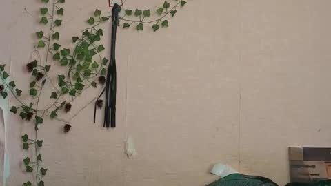 _kikiclark_ online show from 27, 2, 2026