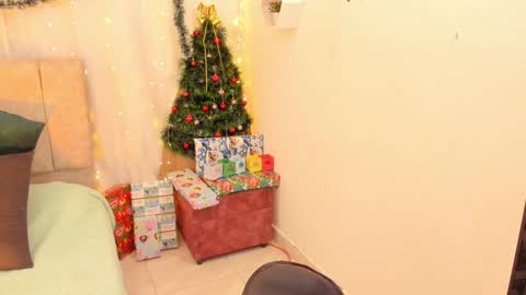 Ivy 3 online show from 14, 12, 2024