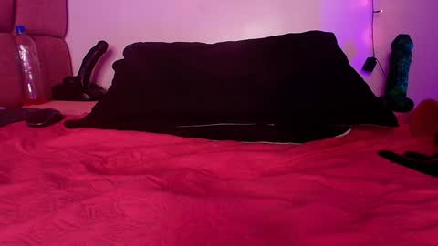 Lorrayne online show from 8, 1, 2025