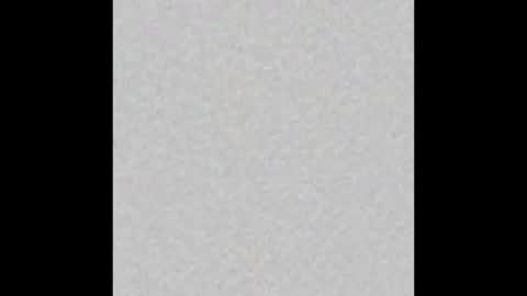 _maccaa_ online show from 10, 10, 2025