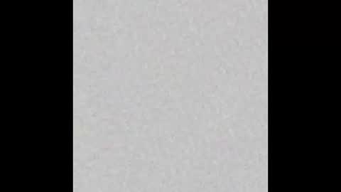 _maccaa_ online show from 19, 1, 2026