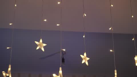  Gwen  online show from 29, 12, 2024