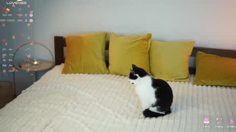 Snapshot of _million_dollarsmile chatting on 1, 12, 2025 _million_dollarsmile online show from 1, 12, 2025