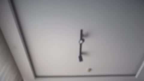 Nefertiti online show from 18, 12, 2025