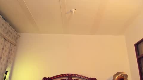 Sammy  online show from 19, 3, 2026