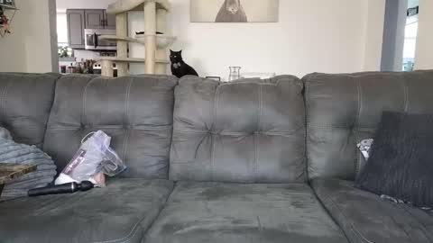 SophiaGraceKnight online show from 12, 11, 2025