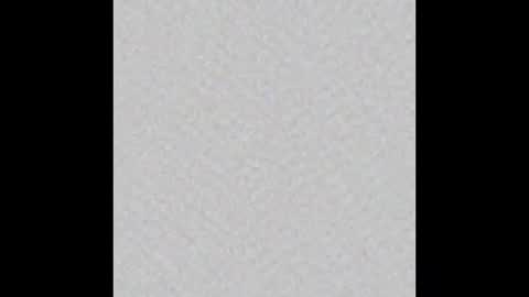 _tammarra_ online show from 17, 2, 2026