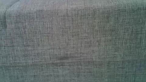 Snapshot of a7469 chatting on 8, 3, 2025 XXL online show from 8, 3, 2025