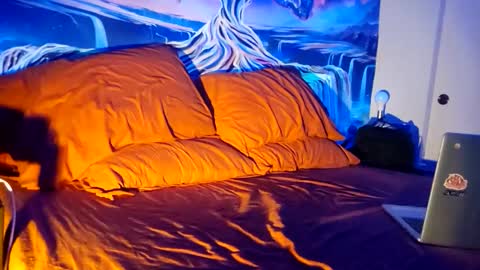 a_bad_guy_duh online show from 9, 2, 2026