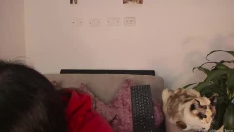 Abbey  IG abby allenn  04 December Online at  I will be on vacation dont forget me  See you soon   online show from 7, 3, 2025
