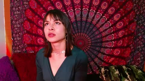 Abby online show from 14, 12, 2024