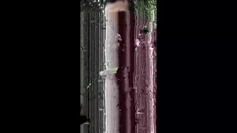 abdulwaris7072 online show from 15, 3, 2026