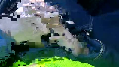 Ace online show from 14, 1, 2025