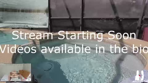 Snapshot of adamevetv chatting on 2, 3, 2025 Adam And Eve online show from 2, 3, 2025