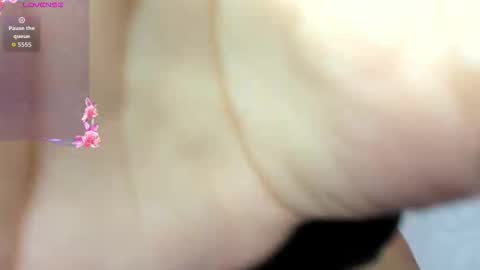 Snapshot of adams_niki chatting on 3, 11, 2025 ADAMS Y NIKI online show from 3, 11, 2025