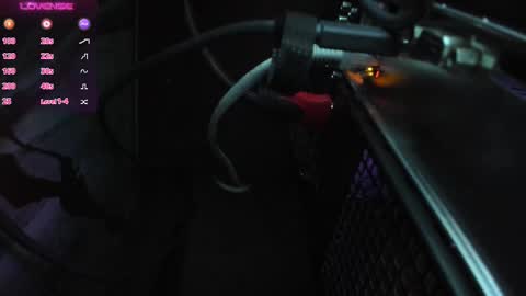 Adel online show from 24, 2, 2025