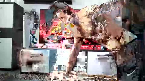 Snapshot of adrianohunt chatting on 28, 12, 2024 Adriano online show from 28, 12, 2024