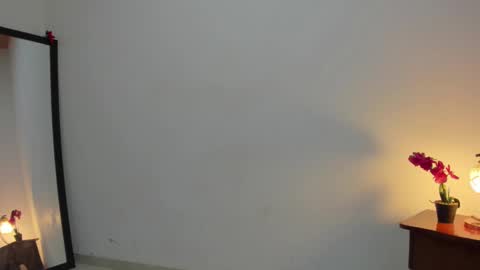 Snapshot of afrodita3123 chatting on 25, 2, 2025 Lorena online show from 25, 2, 2025