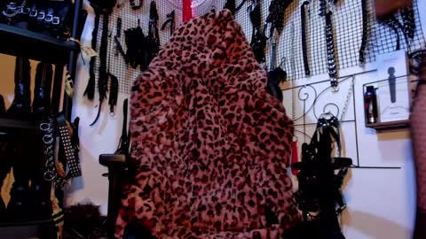 Snapshot of agathamoonn chatting on 12, 1, 2025 Agatha Fox online show from 12, 1, 2025